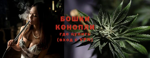 соль ск Белокуриха