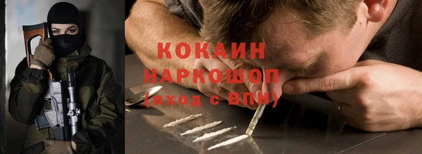 соль ск Белокуриха