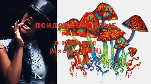 молекула духа Беломорск