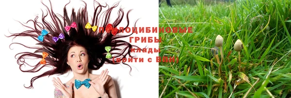 соль ск Белокуриха