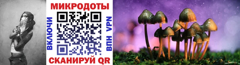 Галлюциногенные грибы Psilocybine cubensis  OMG как зайти  Всеволожск  хочу наркоту 
